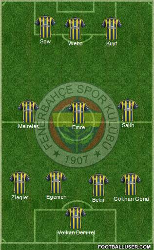 Fenerbahçe SK Formation 2013