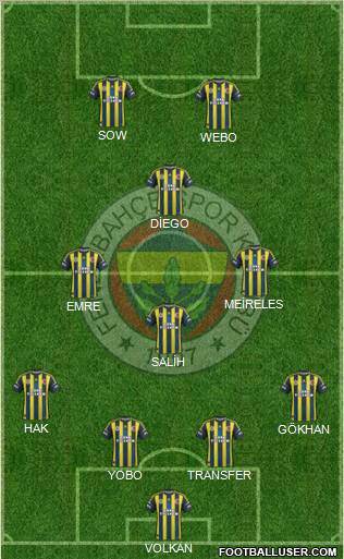 Fenerbahçe SK Formation 2013
