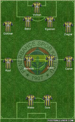 Fenerbahçe SK Formation 2013
