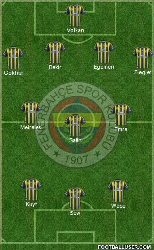 Fenerbahçe SK Formation 2013