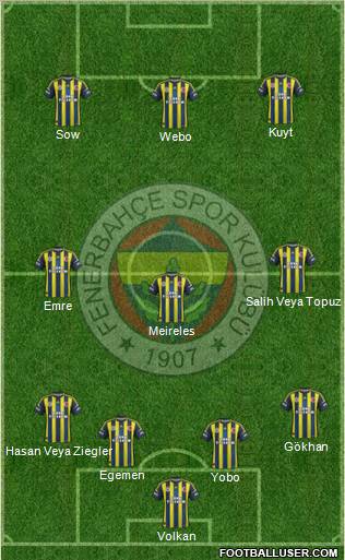 Fenerbahçe SK Formation 2013