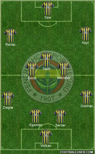 Fenerbahçe SK Formation 2013