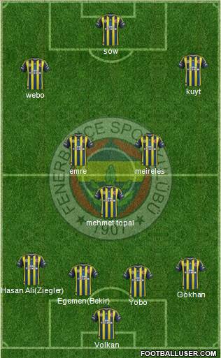 Fenerbahçe SK Formation 2013