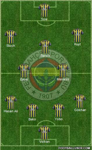 Fenerbahçe SK Formation 2013