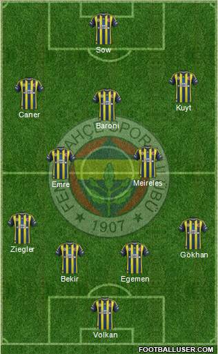Fenerbahçe SK Formation 2013