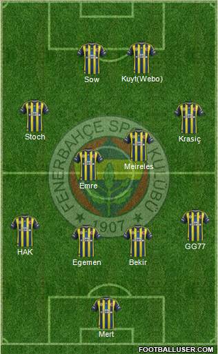 Fenerbahçe SK Formation 2013