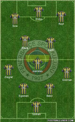 Fenerbahçe SK Formation 2013