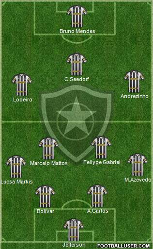 Botafogo FR Formation 2013
