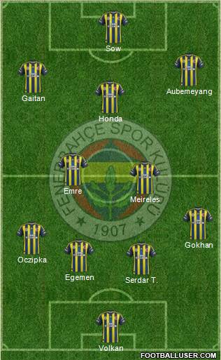 Fenerbahçe SK Formation 2013