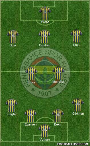 Fenerbahçe SK Formation 2013