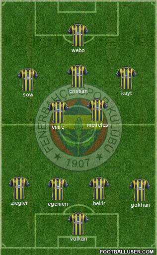 Fenerbahçe SK Formation 2013