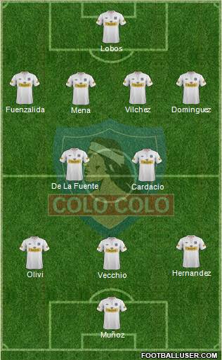 CSD Colo Colo Formation 2013