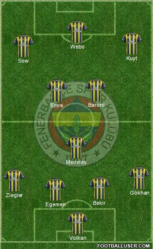 Fenerbahçe SK Formation 2013