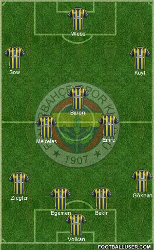 Fenerbahçe SK Formation 2013