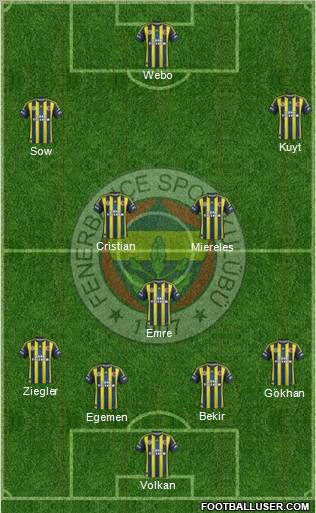 Fenerbahçe SK Formation 2013