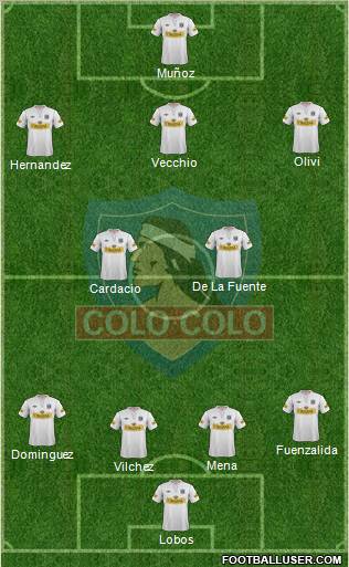 CSD Colo Colo Formation 2013