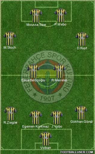Fenerbahçe SK Formation 2013