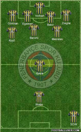 Fenerbahçe SK Formation 2013