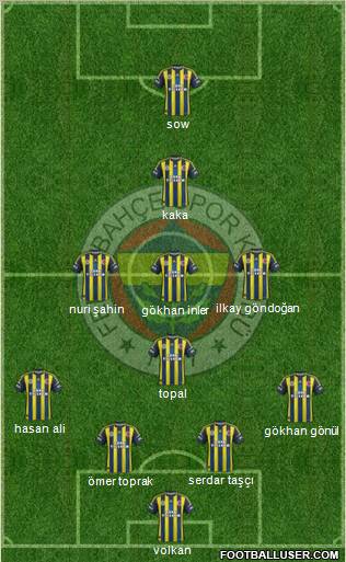 Fenerbahçe SK Formation 2013