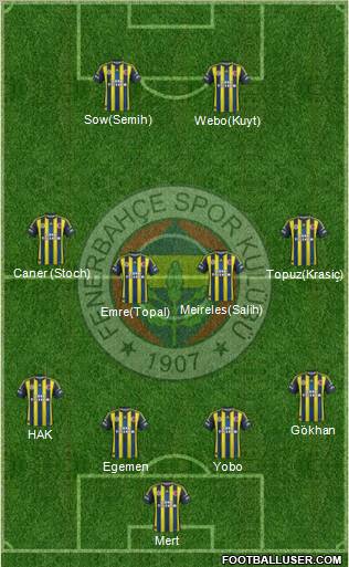 Fenerbahçe SK Formation 2013
