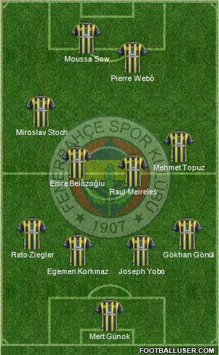 Fenerbahçe SK Formation 2013