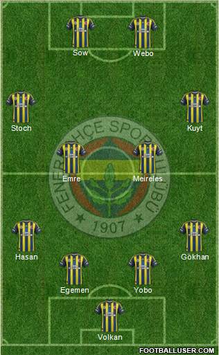 Fenerbahçe SK Formation 2013