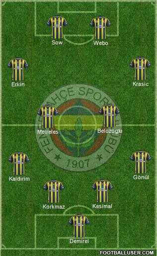 Fenerbahçe SK Formation 2013