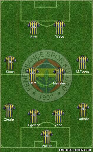 Fenerbahçe SK Formation 2013