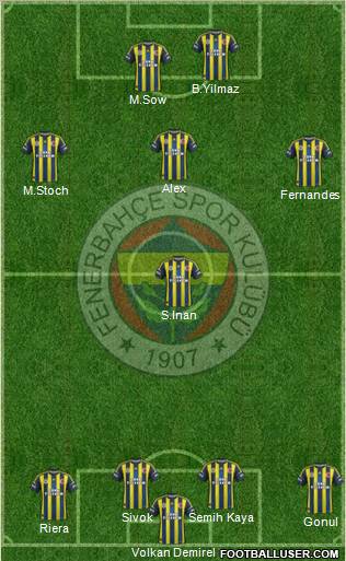 Fenerbahçe SK Formation 2013
