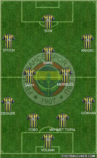 Fenerbahçe SK Formation 2013