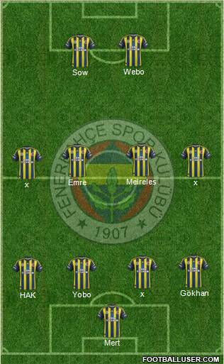 Fenerbahçe SK Formation 2013
