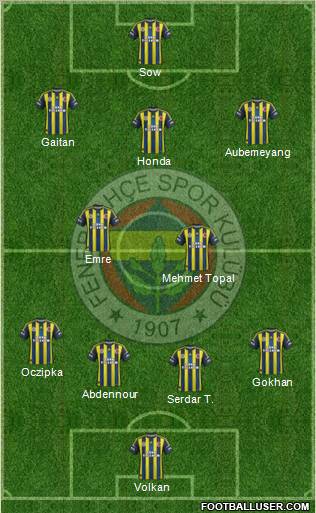 Fenerbahçe SK Formation 2013