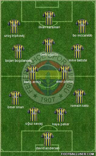 Fenerbahçe SK Formation 2013