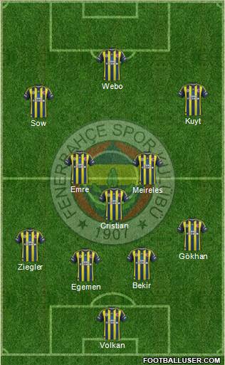 Fenerbahçe SK Formation 2013