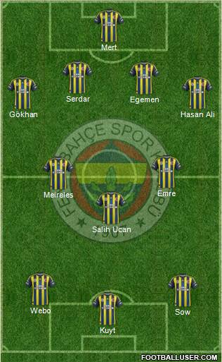 Fenerbahçe SK Formation 2013