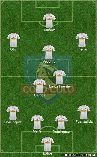 CSD Colo Colo Formation 2013