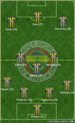 Fenerbahçe SK Formation 2013