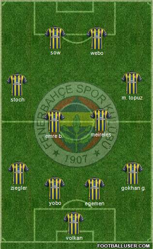 Fenerbahçe SK Formation 2013