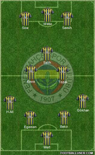 Fenerbahçe SK Formation 2013