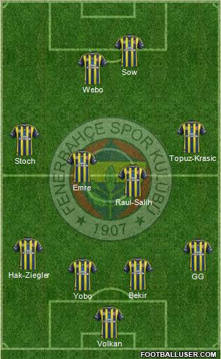 Fenerbahçe SK Formation 2013