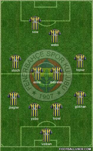 Fenerbahçe SK Formation 2013