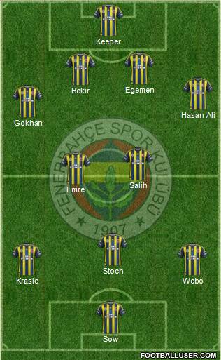 Fenerbahçe SK Formation 2013