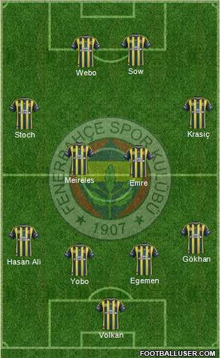 Fenerbahçe SK Formation 2013