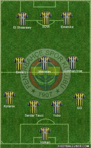 Fenerbahçe SK Formation 2013