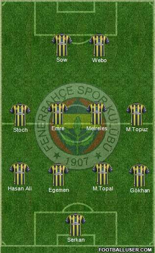 Fenerbahçe SK Formation 2013