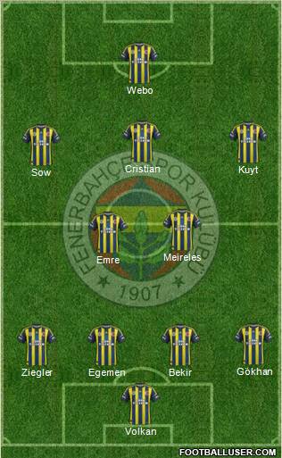 Fenerbahçe SK Formation 2013