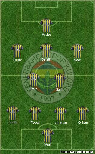 Fenerbahçe SK Formation 2013