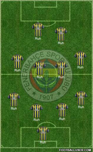 Fenerbahçe SK Formation 2013