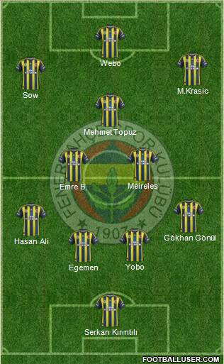 Fenerbahçe SK Formation 2013