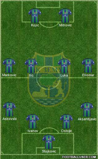 FK Zemun Formation 2013